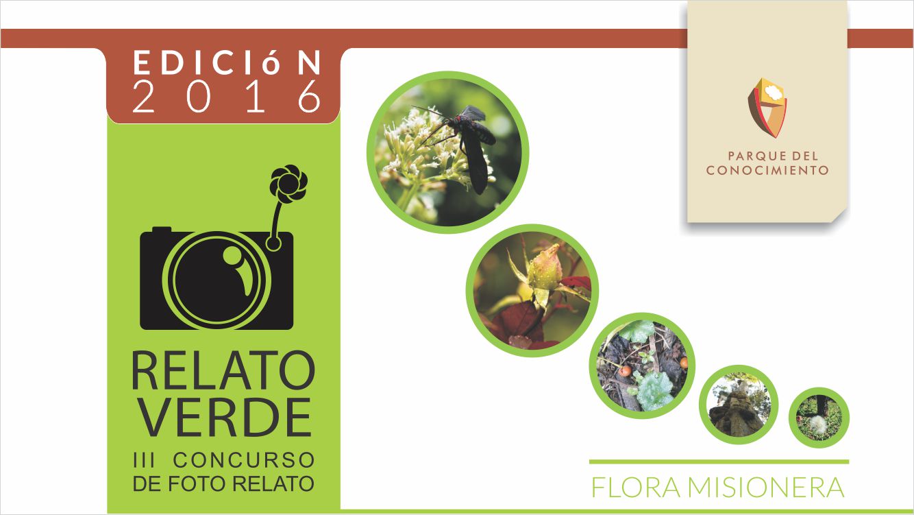 III Concurso de foto-relato "Relato verde": Flora Misionera